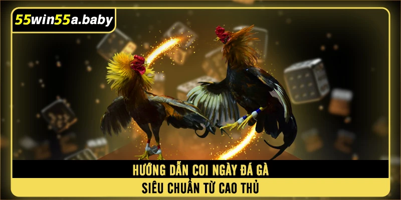 Hướng dẫn coi ngày đá gà siêu chuẩn từ cao thủ