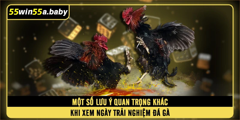 Một số lưu ý quan trọng khác khi xem ngày trải nghiệm đá gà